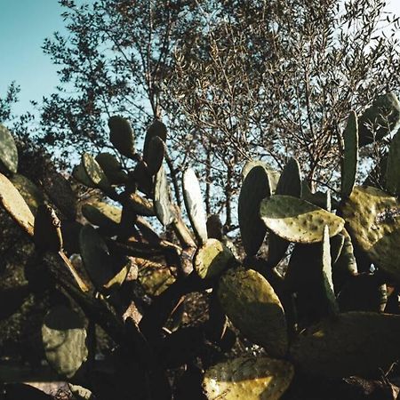 Tenuta Trullo Acquaro Ostuni Buitenkant foto